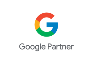 Google Partner Litteratus